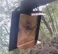 lapierre3.jpg - 6.7 K