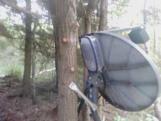 lowerdish.jpg - 11.2 K