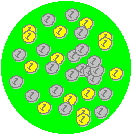 Coins, by Deddi Shy